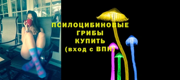 apvp Володарск