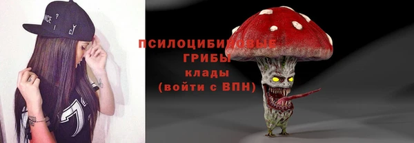 ALPHA PVP Верея