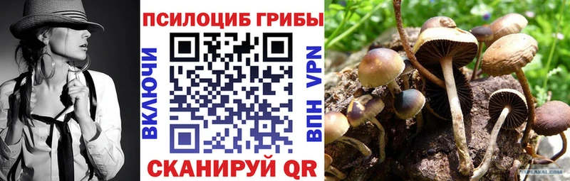 Псилоцибиновые грибы GOLDEN TEACHER  ссылка на мегу как войти  Вуктыл 